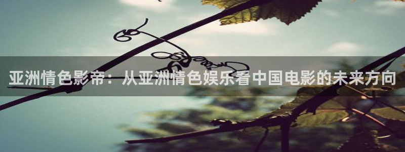 飘雪影院高清电影观看：亚洲情色影帝：从亚洲情色娱乐看中国电影的未来方向